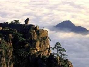 猴子觀海 猴子觀海