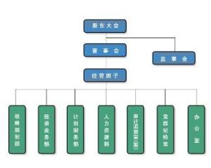 企業組織結構 企業組織結構