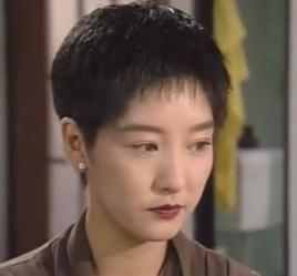 孫萍[1994年電視劇鳳凰傳說人物]