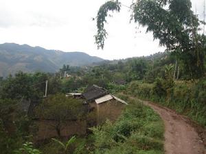 入村道路與民居