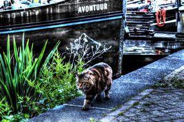 高動態範圍圖像 高動態範圍圖像