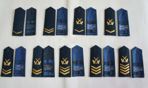 2009年制士官軍銜（圖中為空軍樣式）