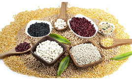 穀類食物 穀類食物