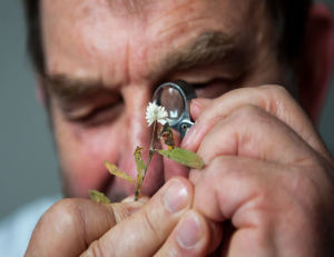 生態學家 生態學家