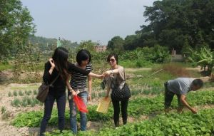 天目山上海之家