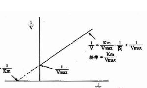 酶促反應動力學
