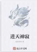 進天神寂 進天神寂