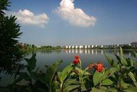 常德武陵區 常德武陵區