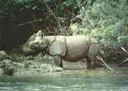 烏戎格庫龍國家公園