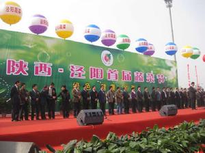 涇陽蔬菜節 涇陽蔬菜節