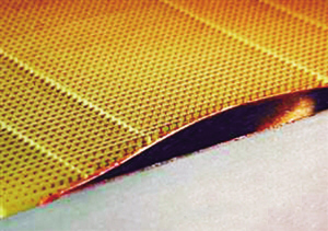 （圖）美國杜克大學和中國東南大學合作研製出“隱身衣”