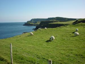 賈恩茨考斯韋與考斯韋海岸