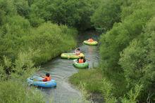 塞罕壩國家森林公園景觀