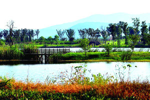 蘇州生態城 蘇州生態城