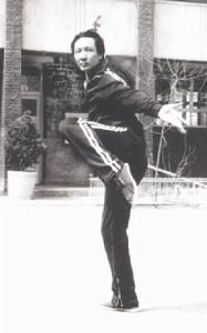 鐵掃帚功 鐵掃帚功