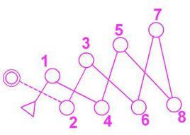 定向運動[王翔等主編圖書]