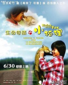 生命奇蹟小狐狸 生命奇蹟小狐狸