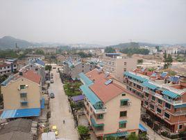 新建村[浙江省溫州市蒼南縣新建村]