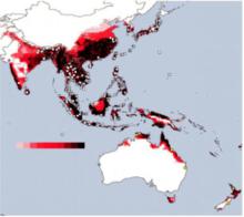 白紋伊蚊分布圖