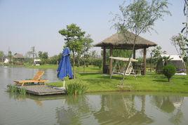 生態農莊 生態農莊