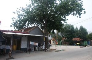 演禮社區 演禮社區