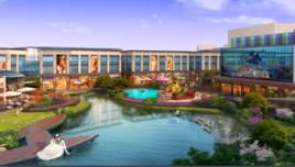 蒲公英天地 蒲公英天地