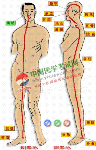 陰蹺脈循行路線 陰蹺脈循行路線