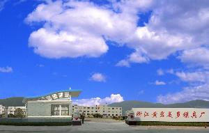 浙江黃岩美多模具廠