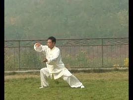 黨國俊[國家武術協會會員]