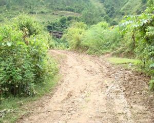 九十六自然村 九十六自然村