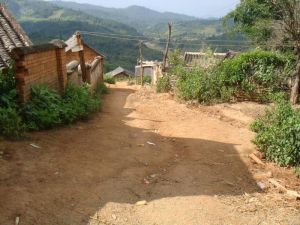 茅草林村 茅草林村