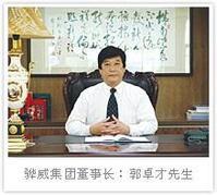 廣東驊威玩具工藝(集團)有限公司 廣東驊威玩具工藝(集團)有限公司