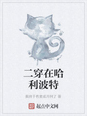 二穿在哈利波特 二穿在哈利波特