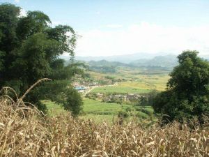 姜子林村 姜子林村