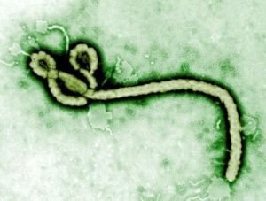 高危微生物 高危微生物