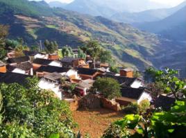 白墳村[新平縣水塘鎮波村村民委員會下轄村]