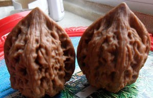 文玩麻核桃 雞心