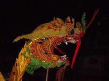 重慶酉陽土家龍燈會