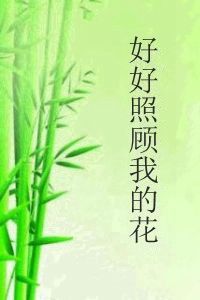 好好照顧我的花 好好照顧我的花