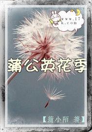 蒲公英花季 蒲公英花季