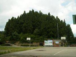 中村鄉中心國小 中村鄉中心國小