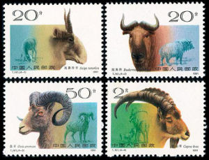 T161野羊 T161野羊