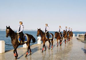 大連女子騎警基地 大連女子騎警基地