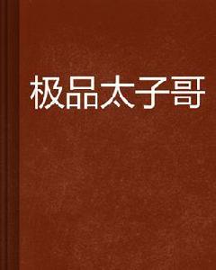 極品太子哥 極品太子哥