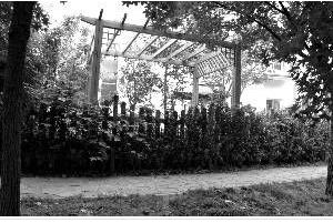 郭德綱別墅被指私建花園