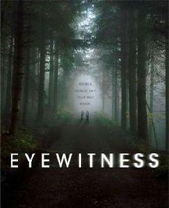 目擊者[美國2016年朱麗安妮·尼科爾森主演電視劇]