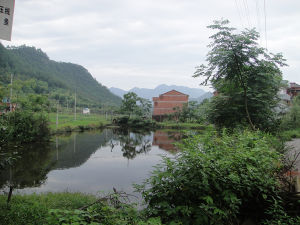 大塘頭自然村 大塘頭自然村