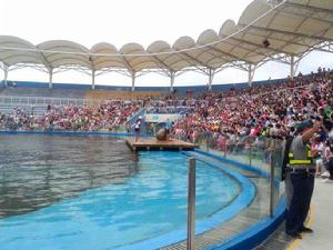 北戴河新區聖藍海洋公園 北戴河新區聖藍海洋公園