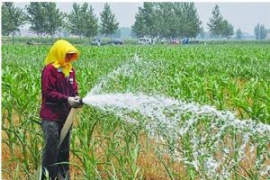 黑土嶺村 黑土嶺村