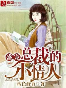 盛寵,總裁的小情人 盛寵,總裁的小情人